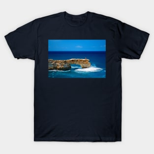 Photographing on the edge T-Shirt